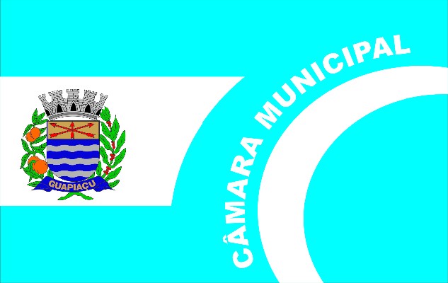 20171018_Bandeira_Camara